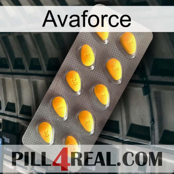 Avaforce cialis1.jpg